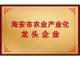 海安市農(nóng)業(yè)產(chǎn)業(yè)化 龍頭企業(yè)